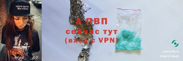 СК Абинск