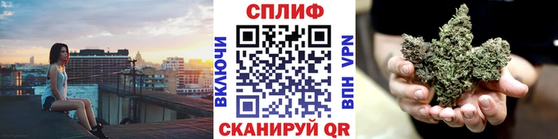 Конопля сатива  Судогда 